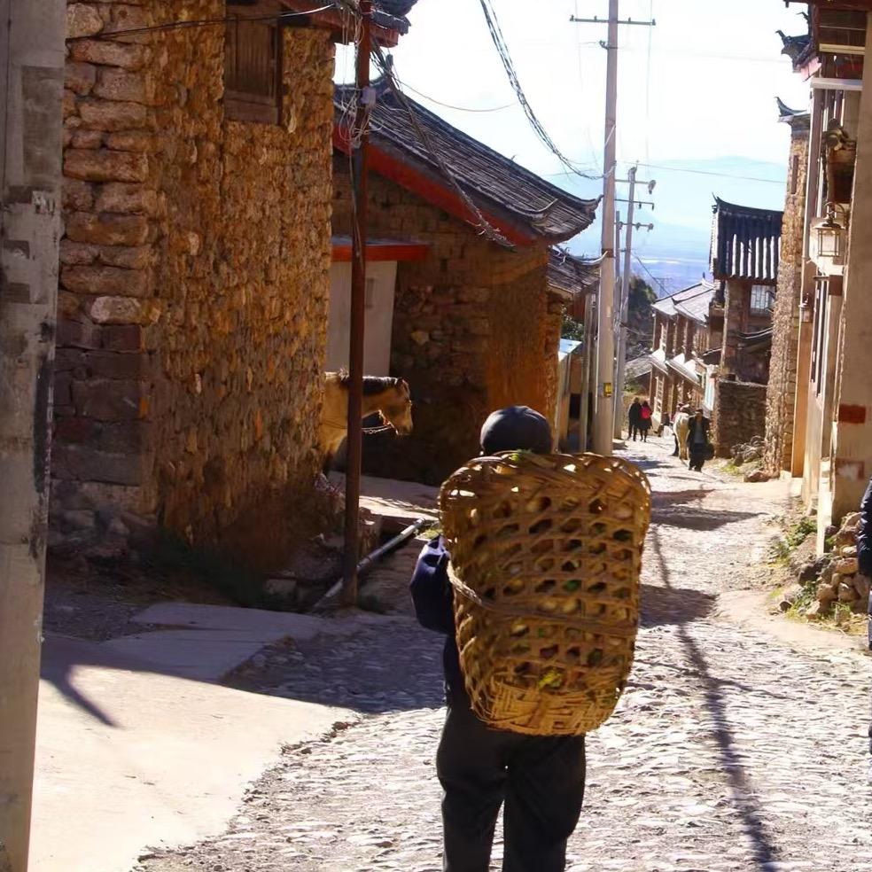 可可妈（助农人）