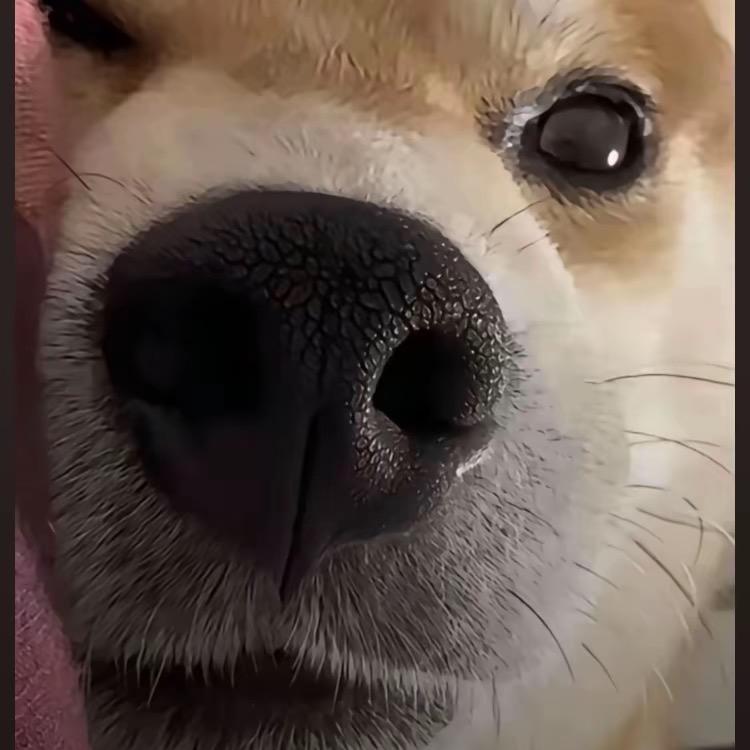 89791011857