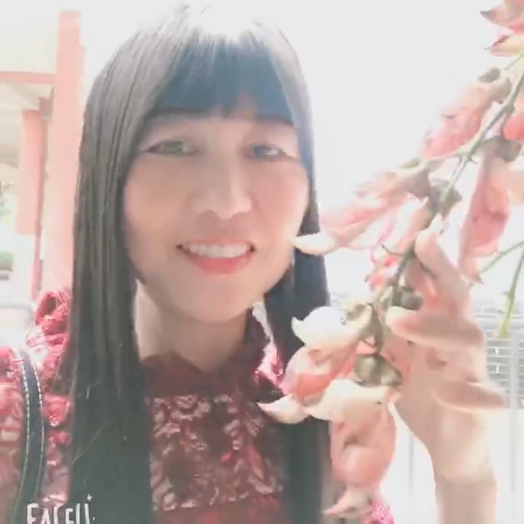 花蝴蝶