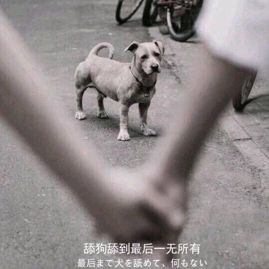 爱笑的孤独者