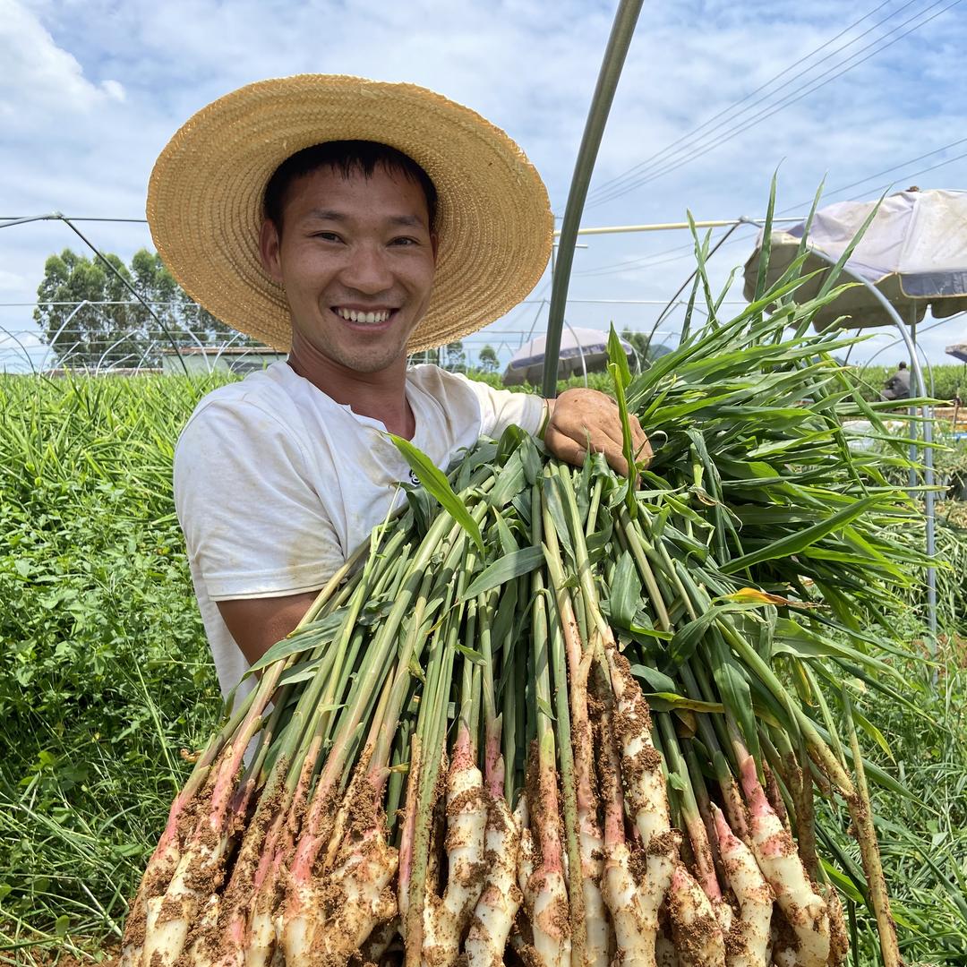 辉仔鲜果小时超市