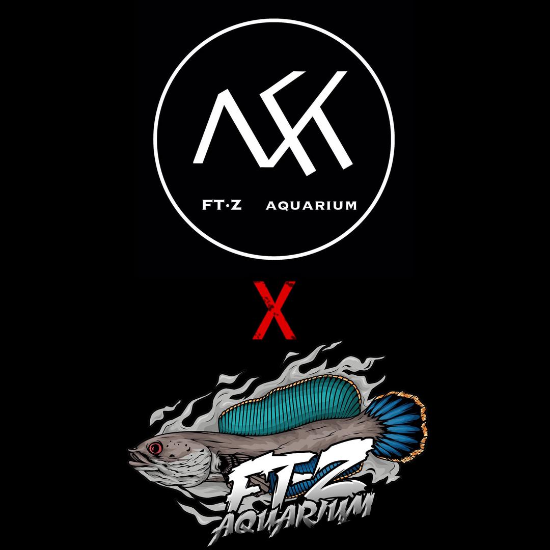 FT-ZAQUARIUM（代回印尼雷龙）