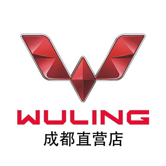 五菱新能源汽车西南销售中心
