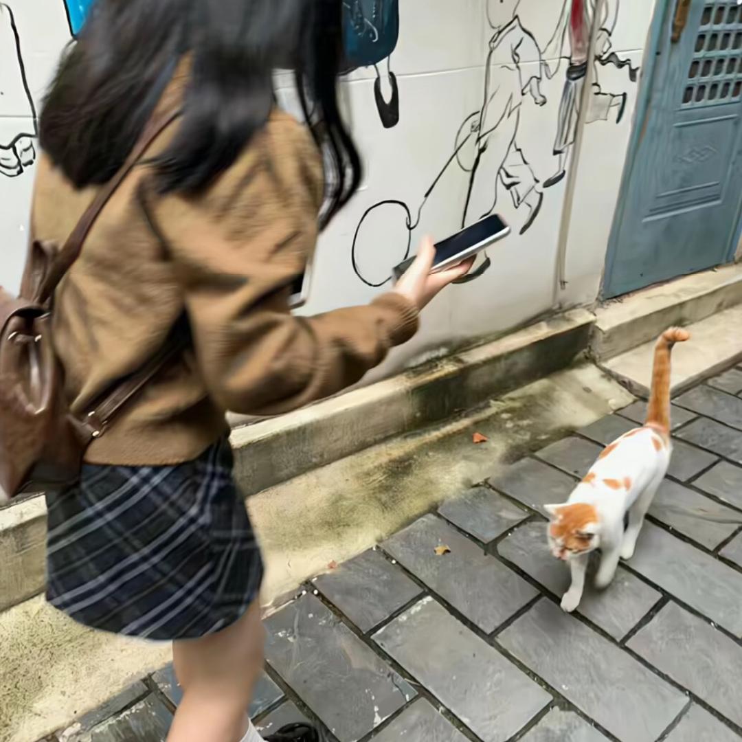 🐑了个咩