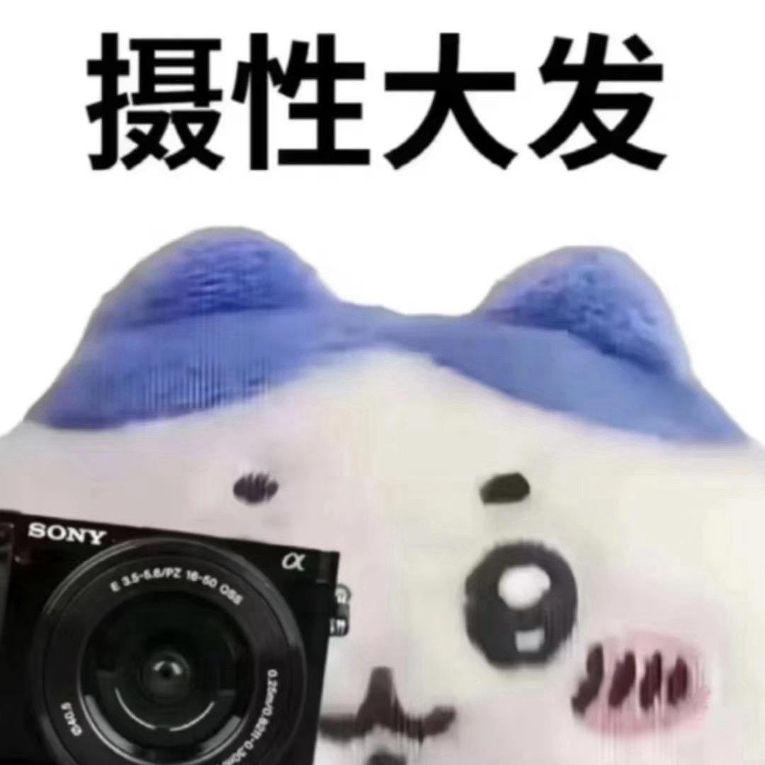 辰辰（摄影版）