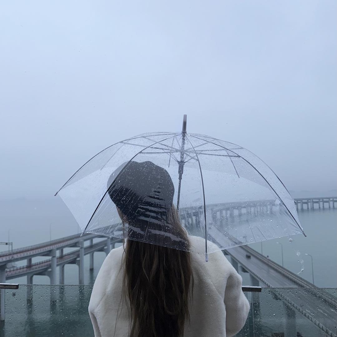 莹莹会飞o