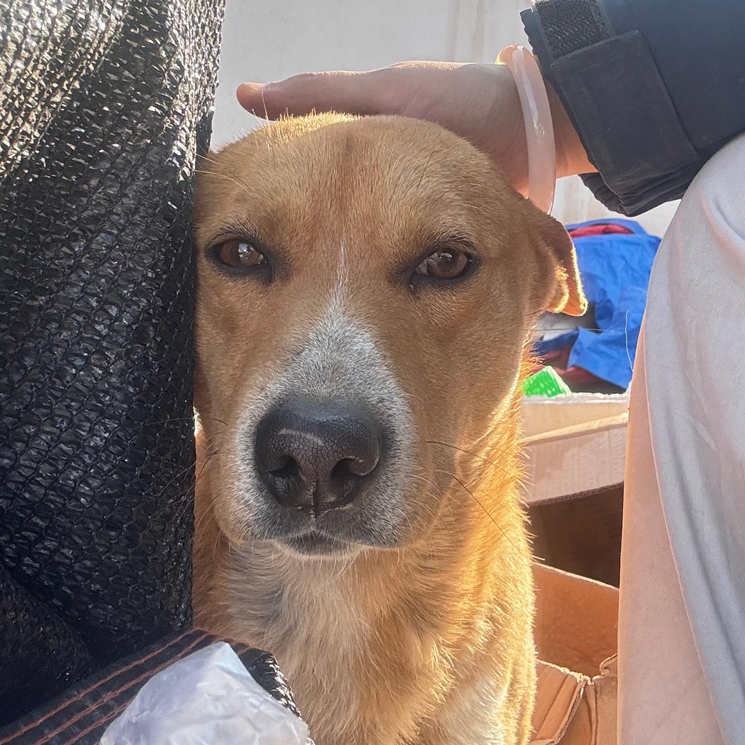 二憨不理包包🧀