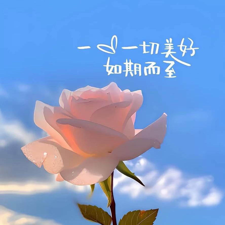 黄氏集团的舒晚头像