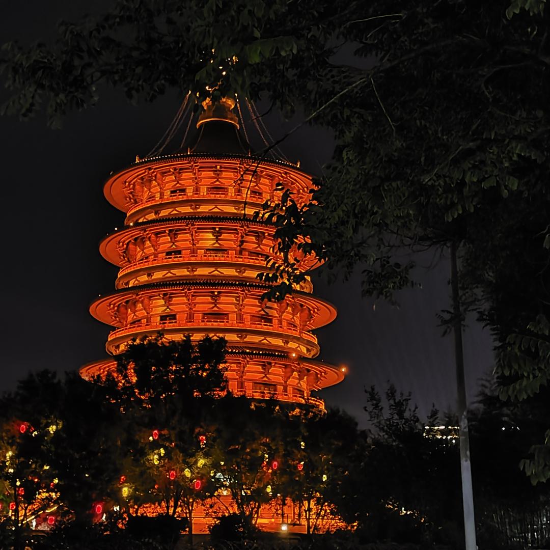 一与九