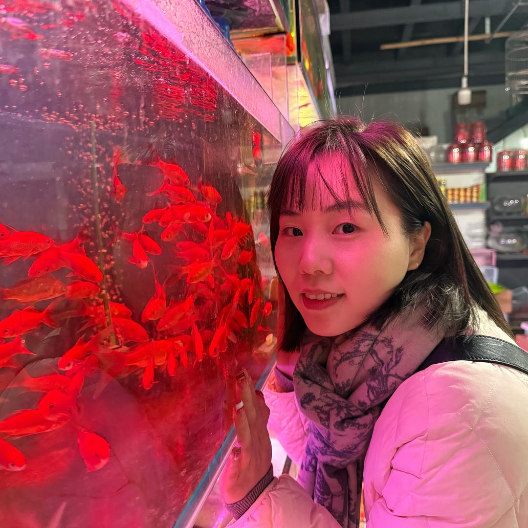 一只芬芬老师