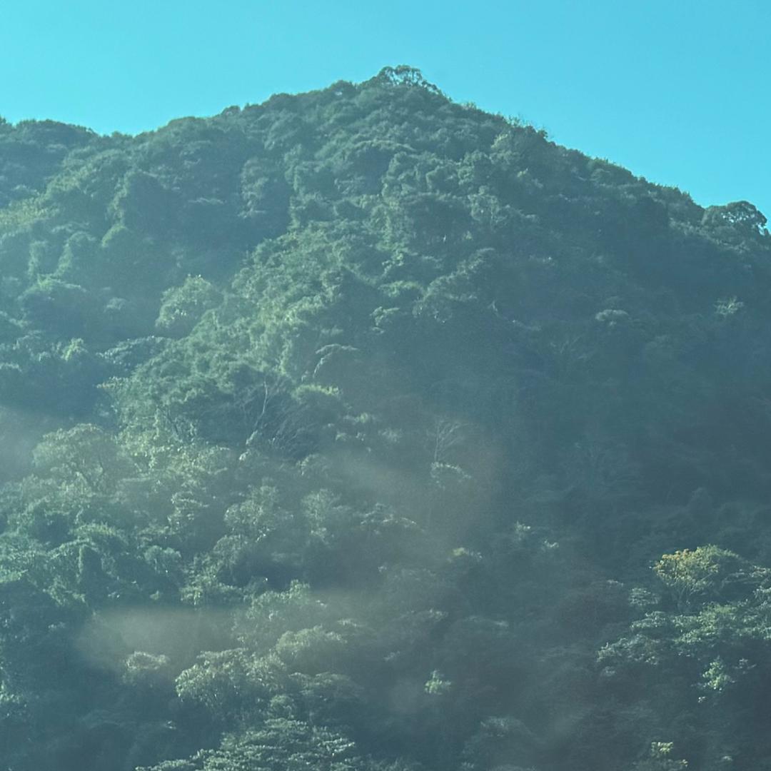 人生得意须尽欢