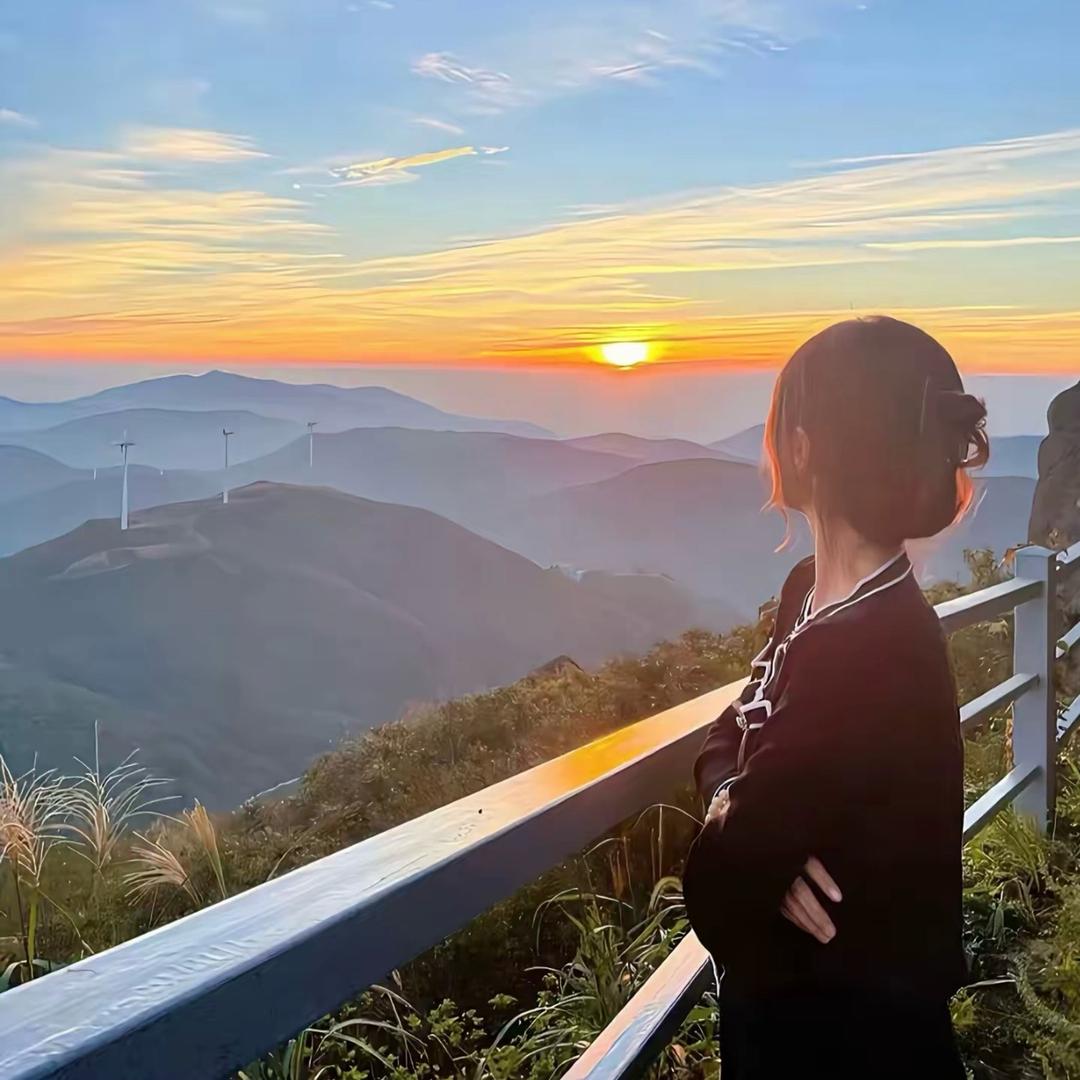 丽