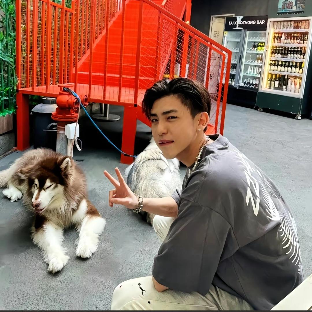 小马.