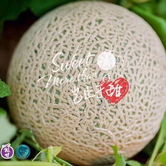 大鹏-(涅槃)水果产地供应链