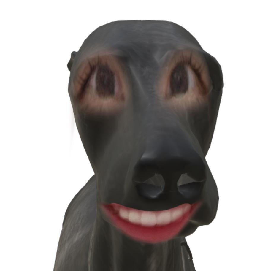 嗨