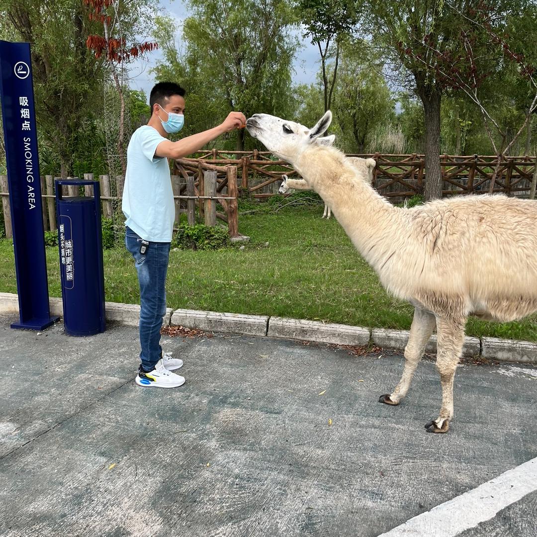 盐城卖房～房哥