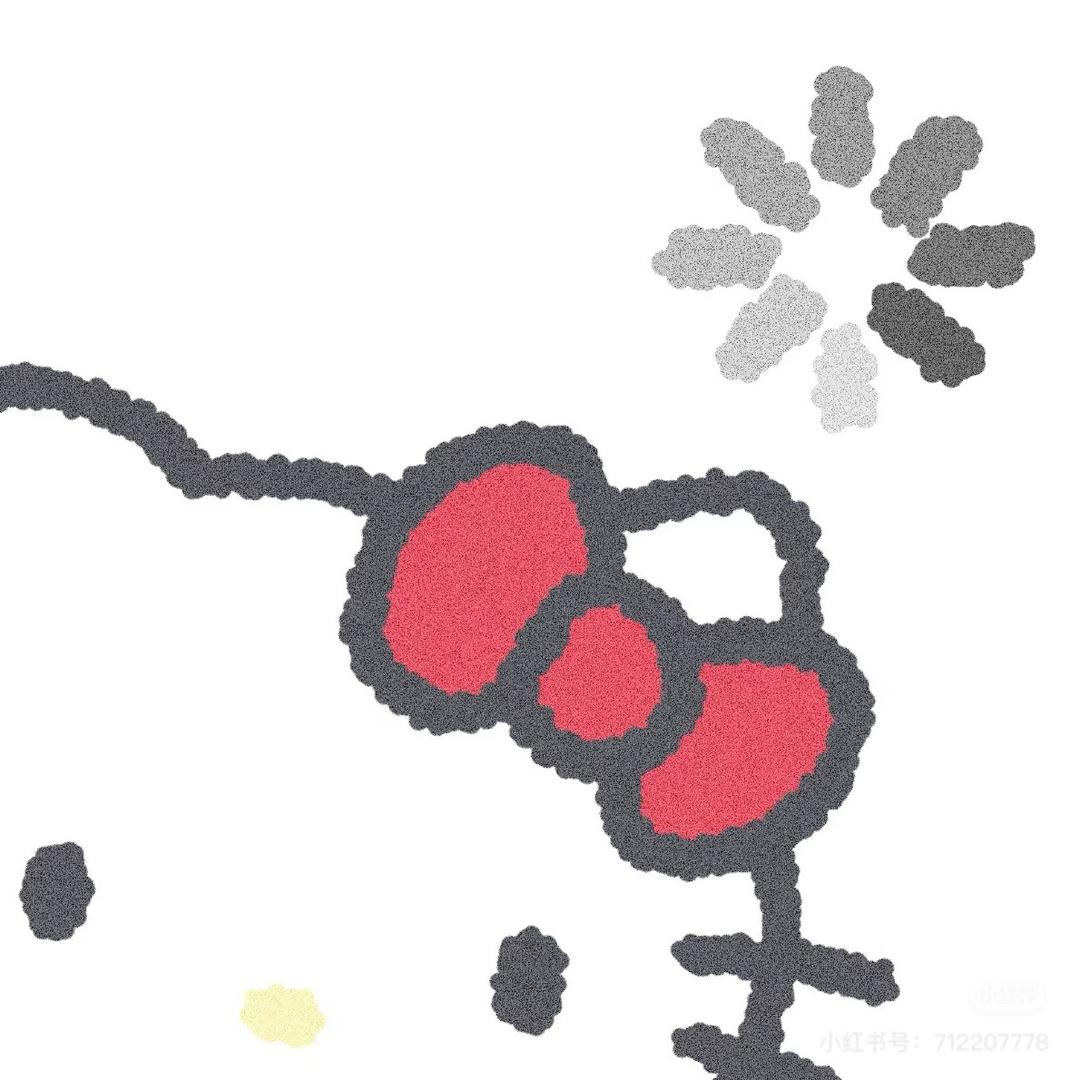 曾曾日上