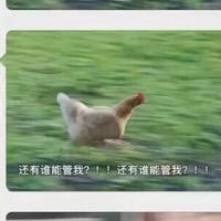 棉棉的王