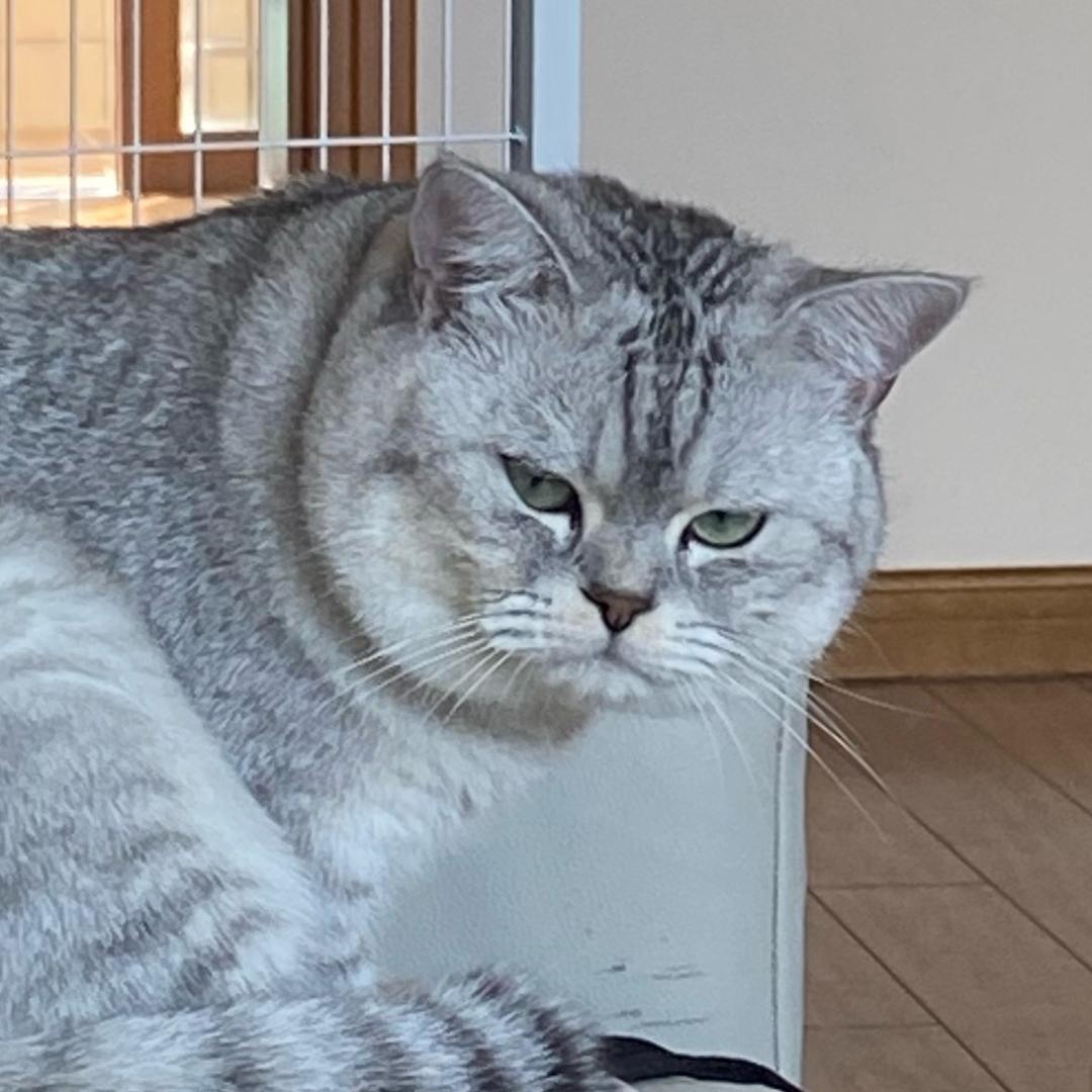 财财静静