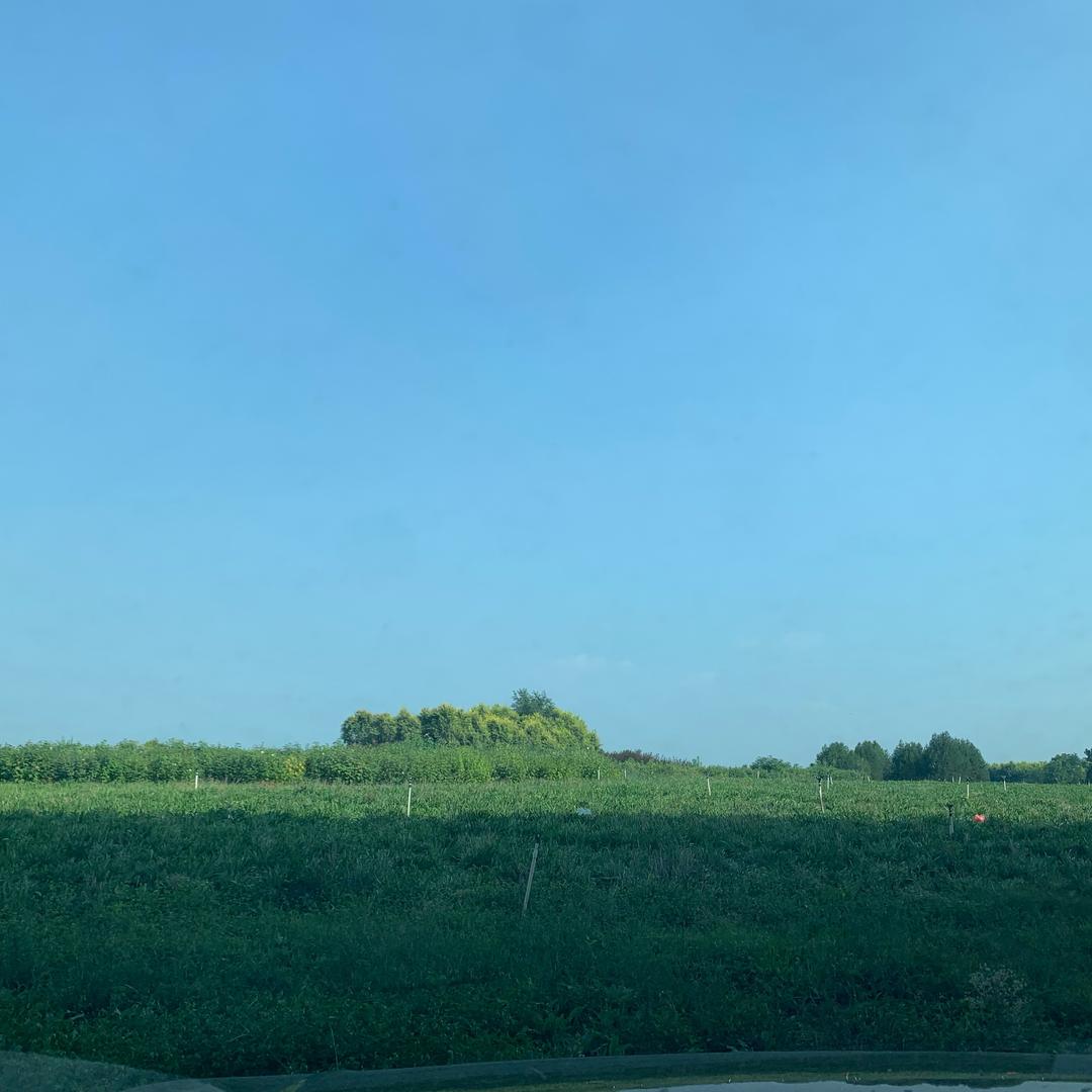 否极泰来
