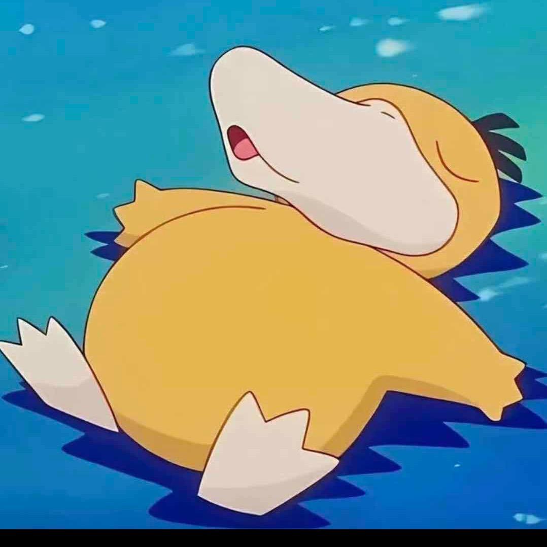 淘淘积木