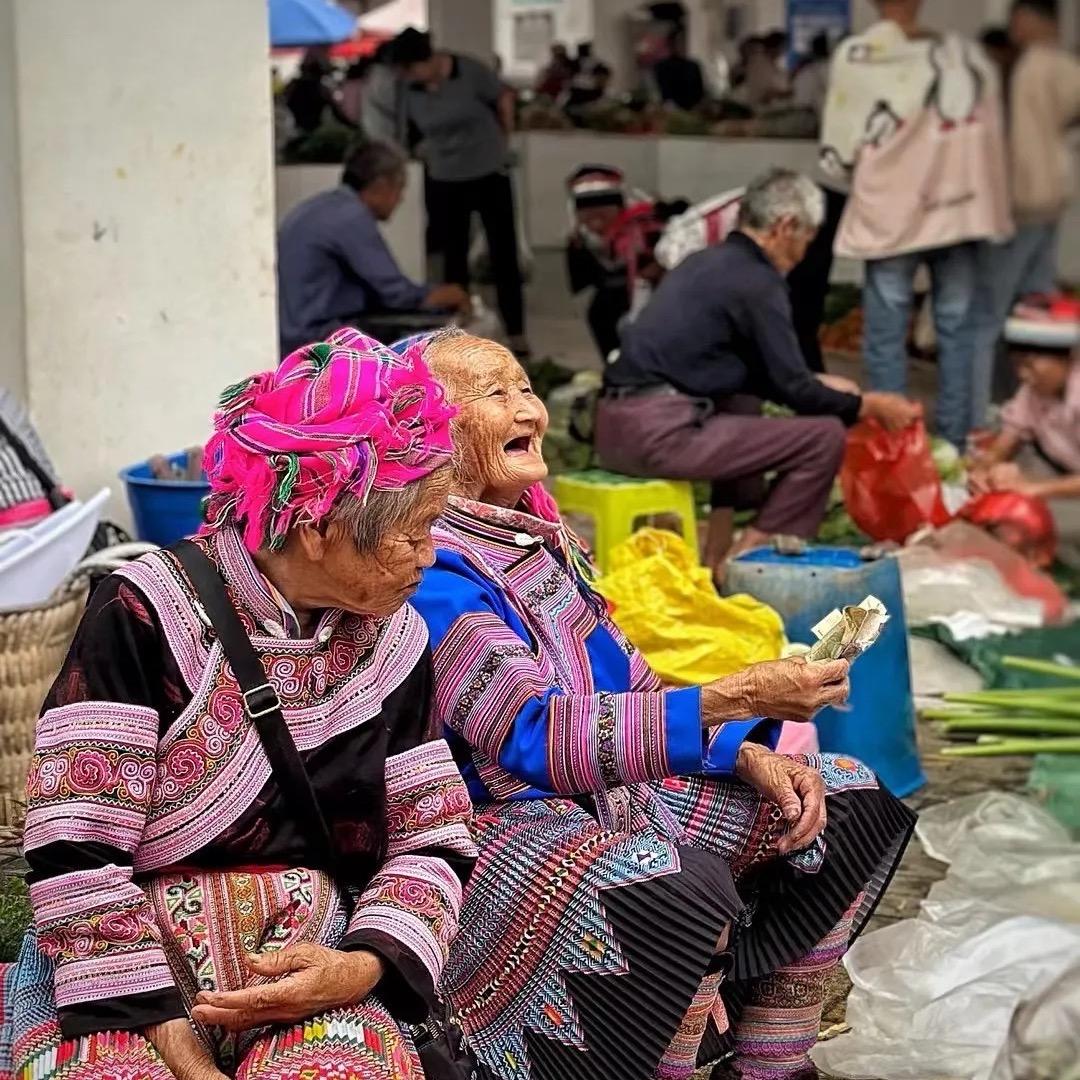 高端滋补甄选