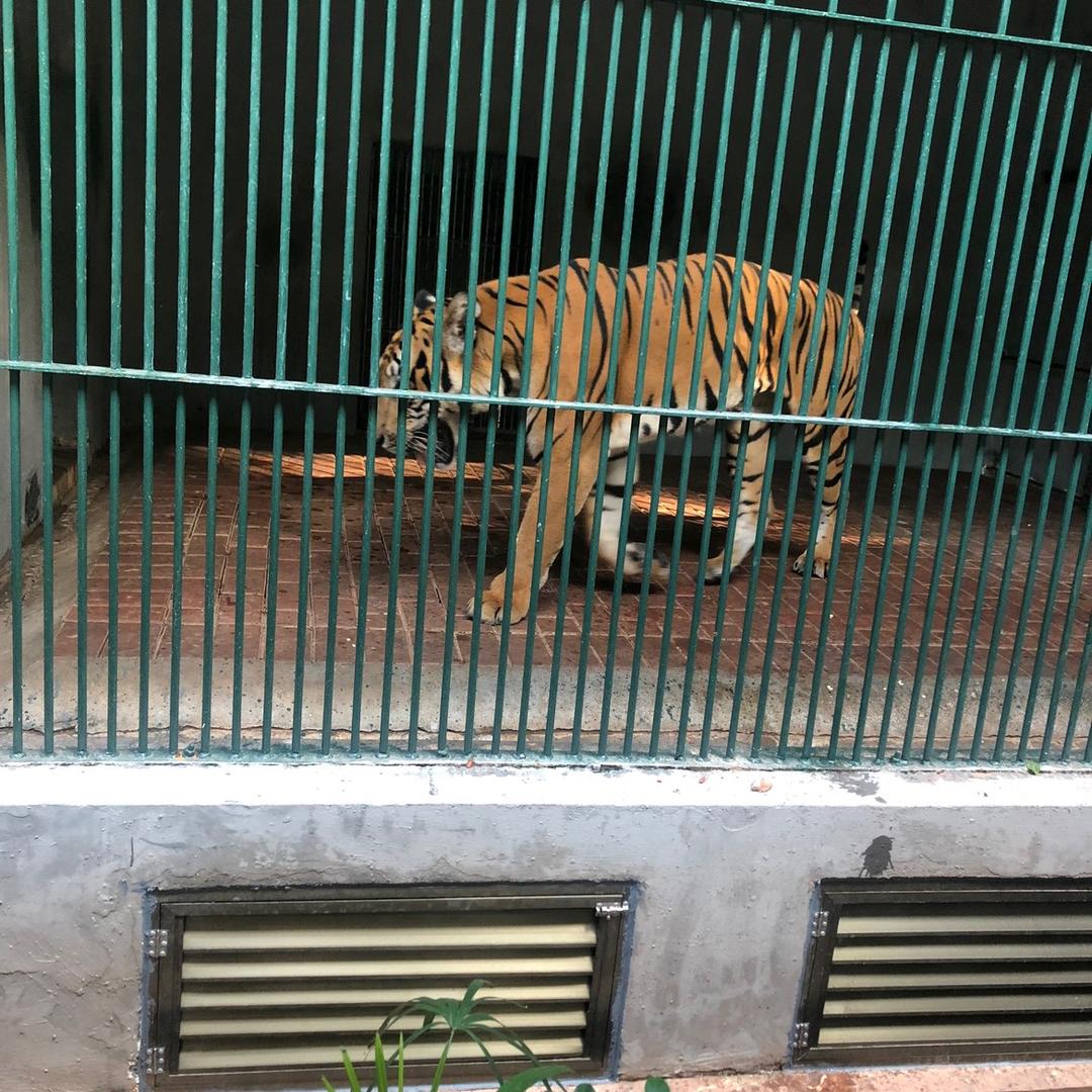 情系河源