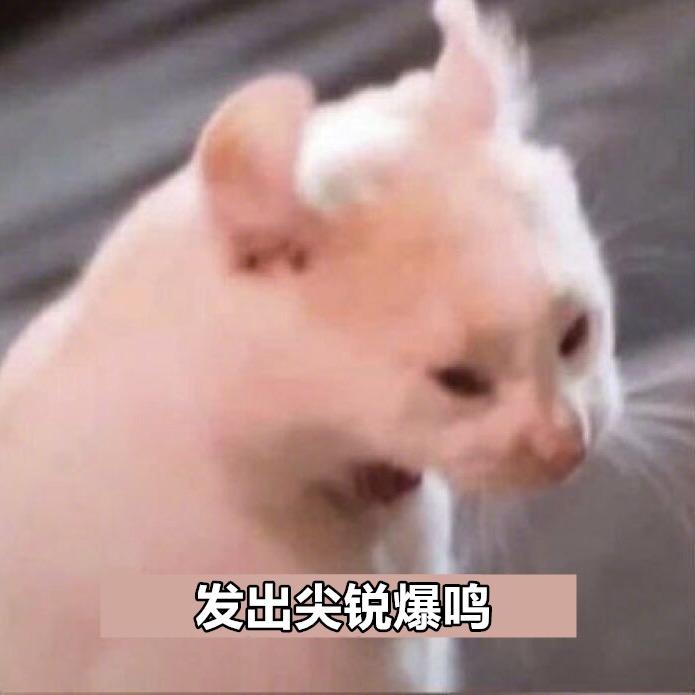 哆莱依ᴶᴸ