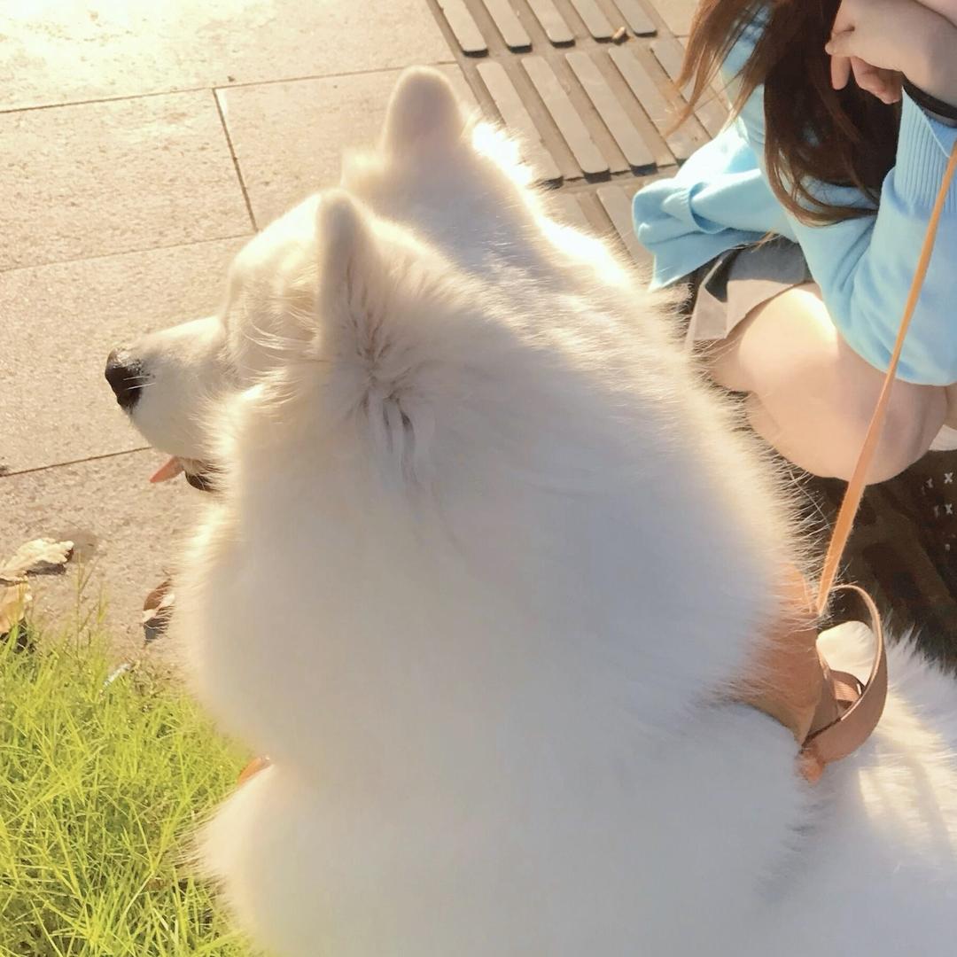 早点睡哦