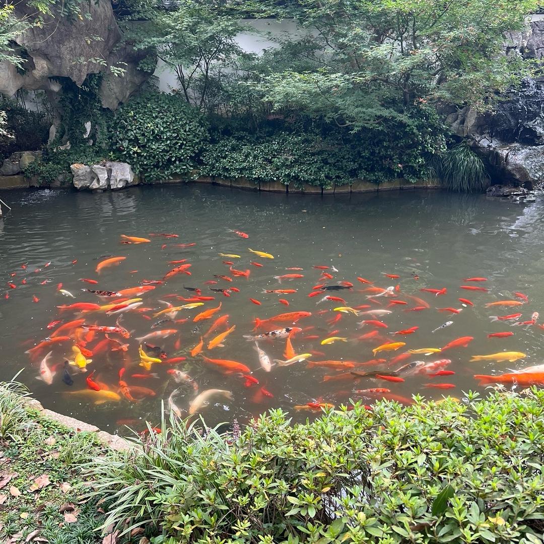 罗玥🌈