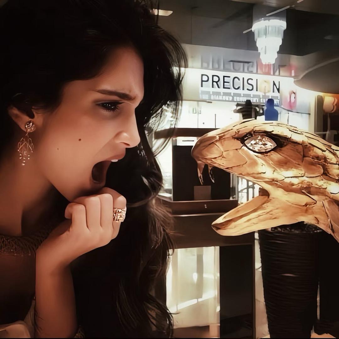 神仙凯莉(正能量)