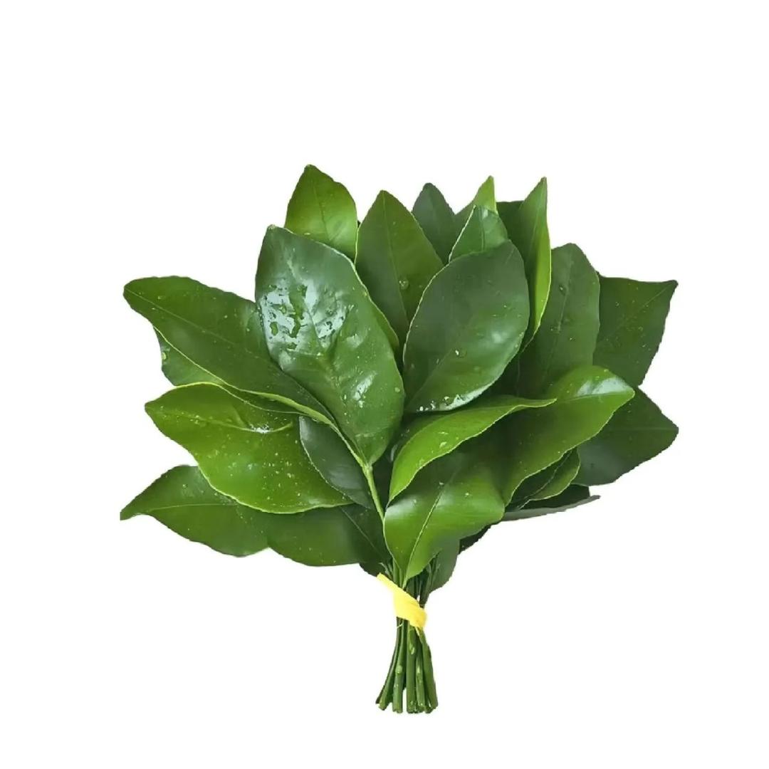 大大