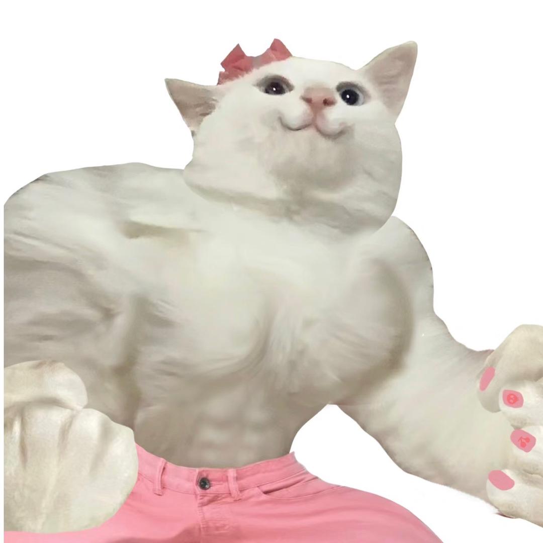 bb酱