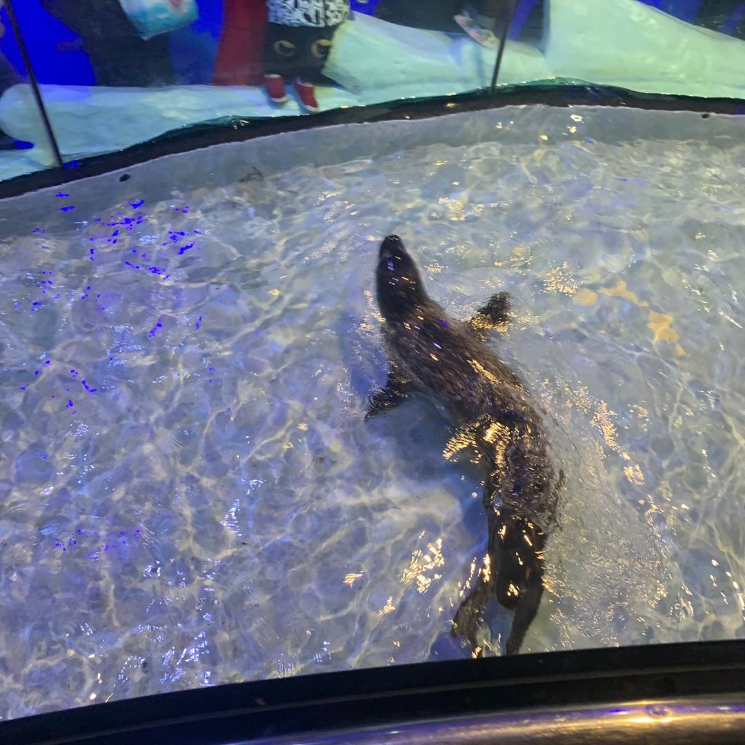 林头像