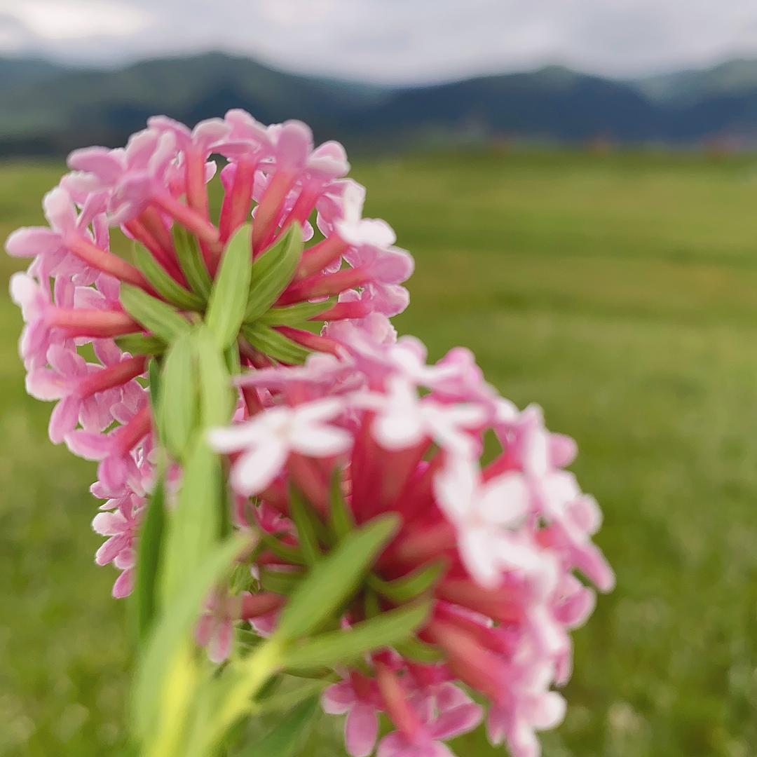 阿琳一精选女装