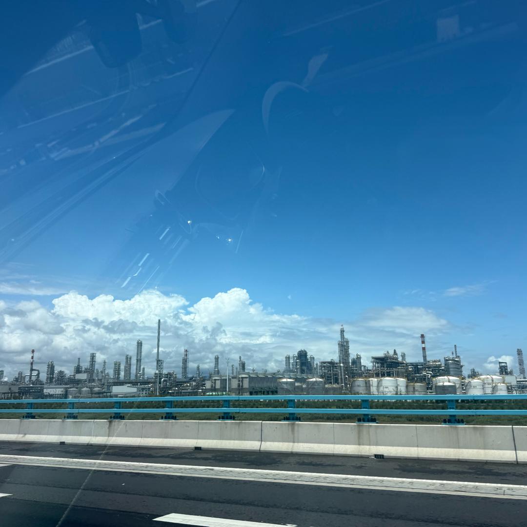 加减乘除家的宝