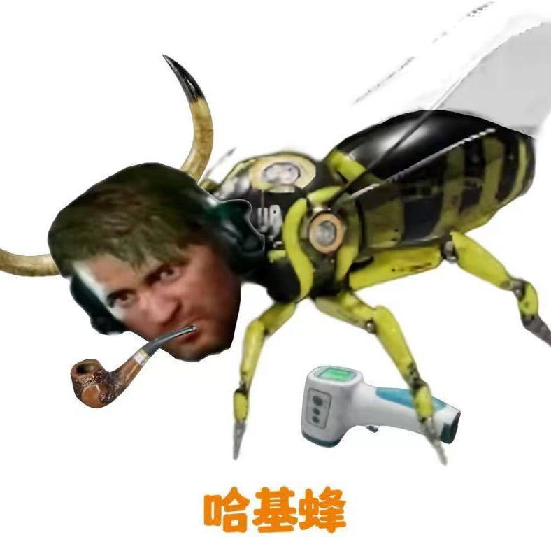 因吹斯听（三角洲）