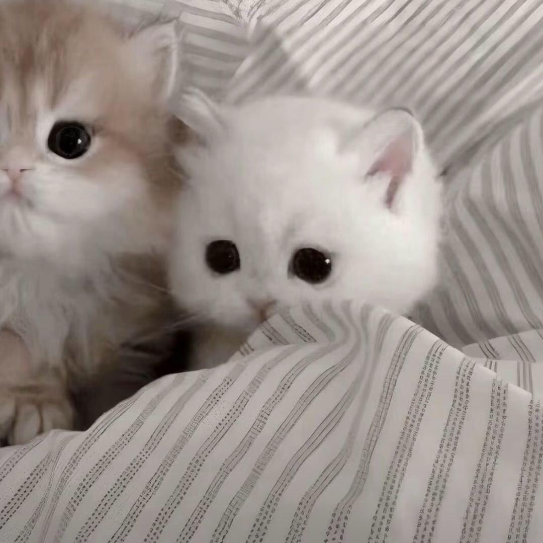 热热药药药