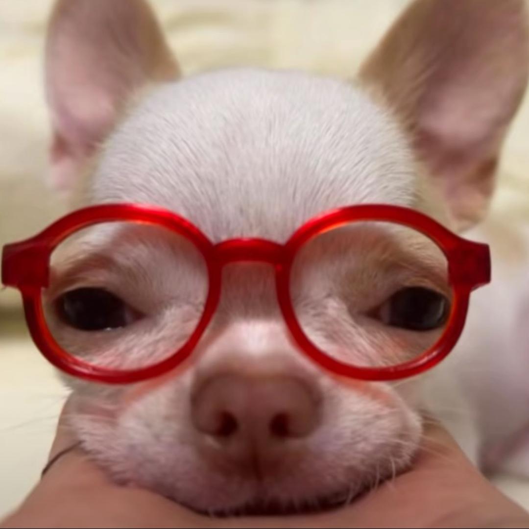 福福福福福福福