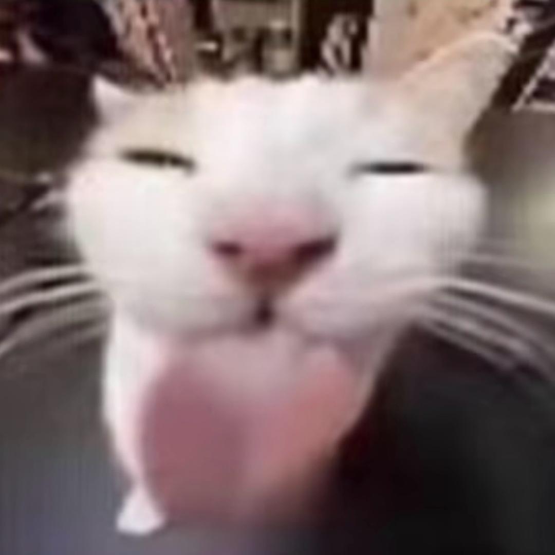 陈博