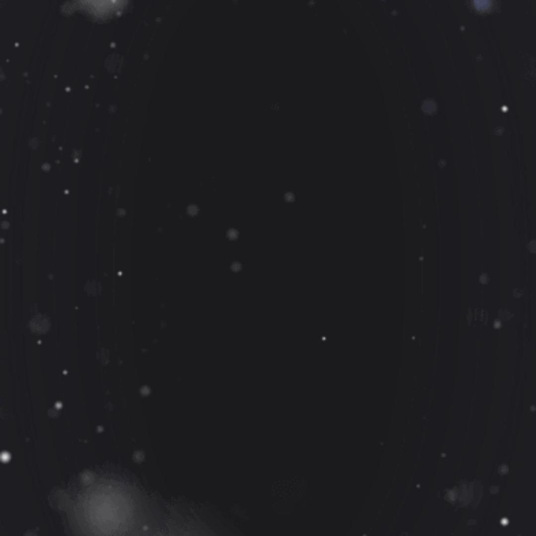 大佬A