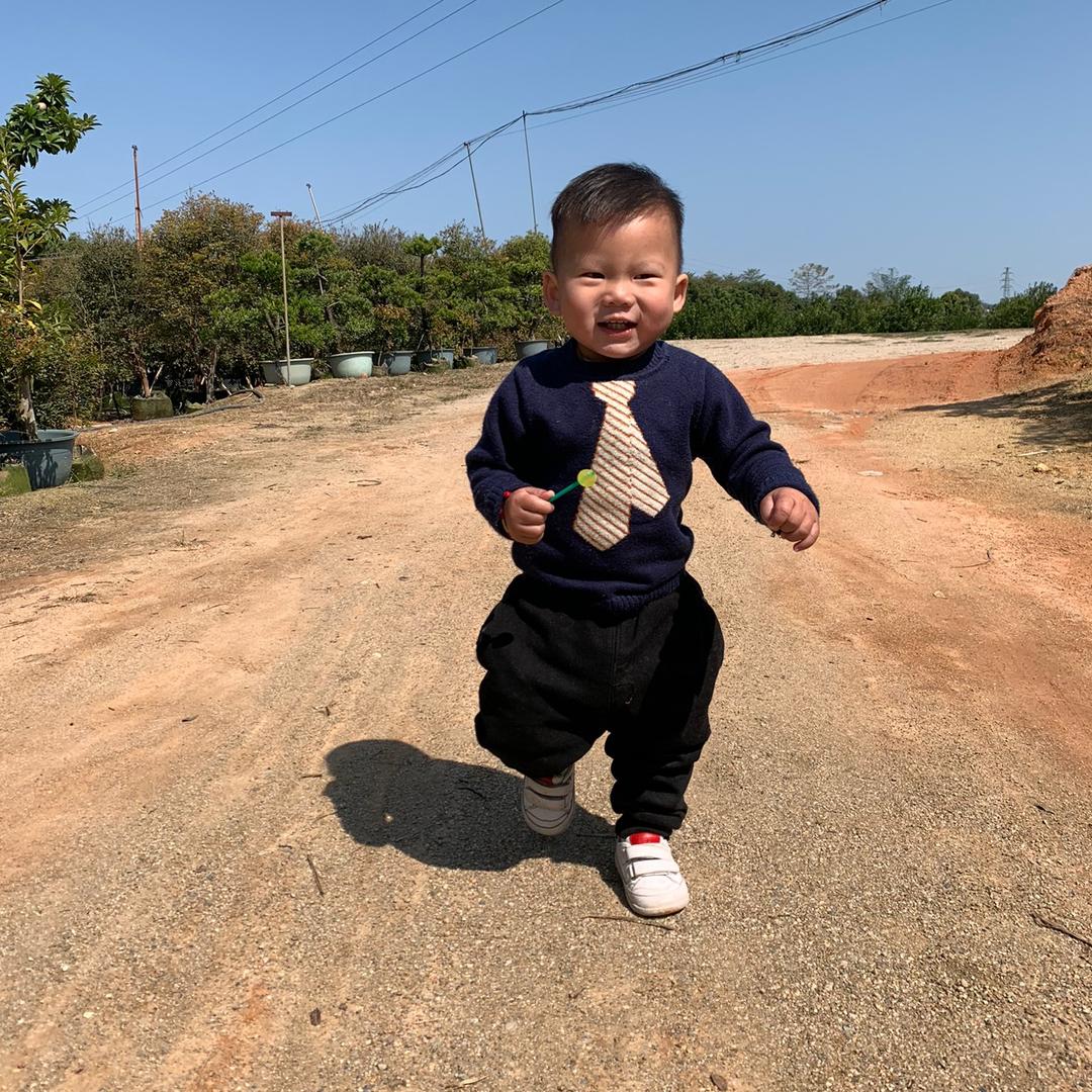 小小洋@