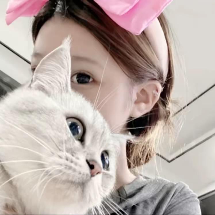 妃妃