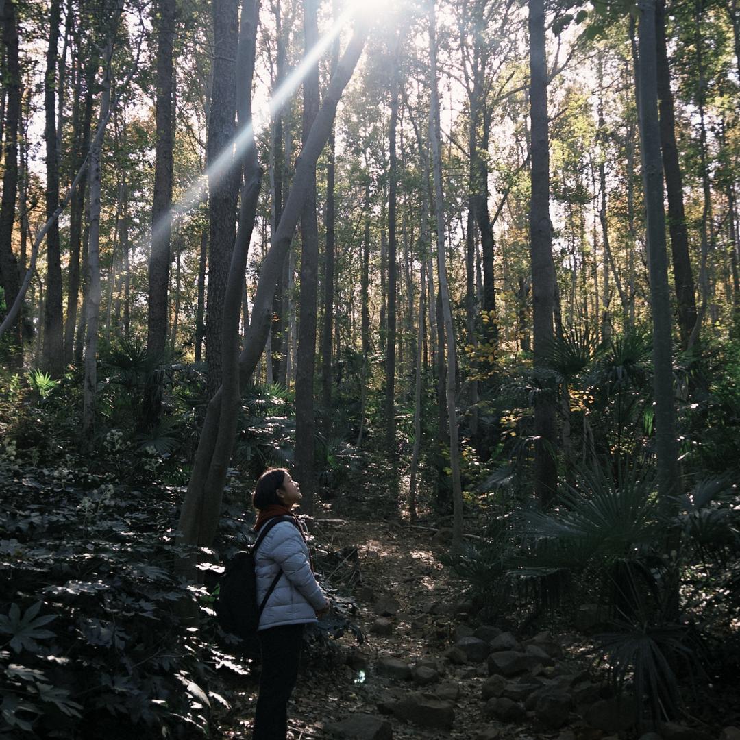 萬隆雪糕批发城