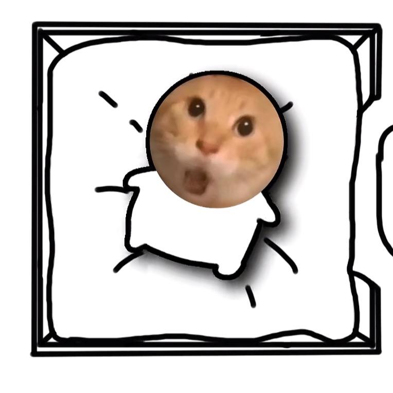 毕加c