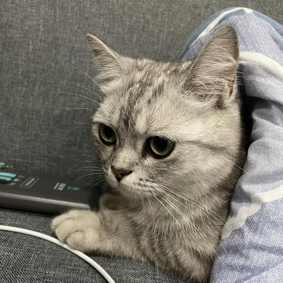 牛奶糖