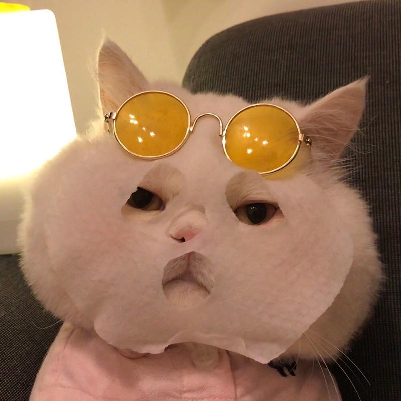 鹿九巷.