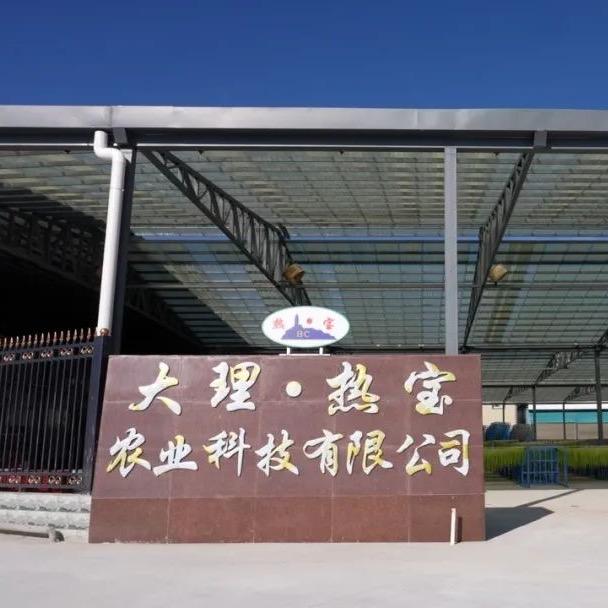 热宝农业【云南大蒜源头供应链】
