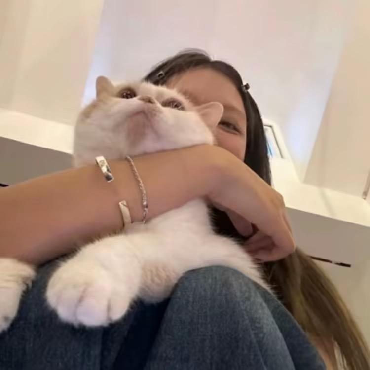 ๑๑