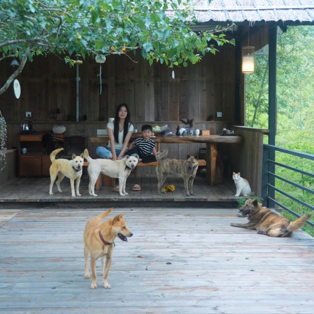 🐕山野里的毛孩子🐾